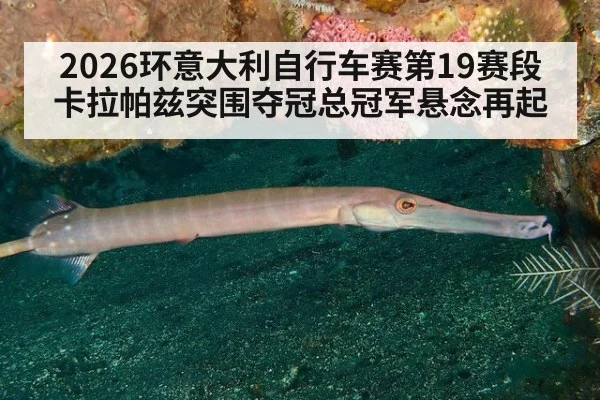 2026环意大利自行车赛第19赛段卡拉帕兹突围夺冠总冠军悬念再起