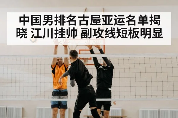 volleyball net block